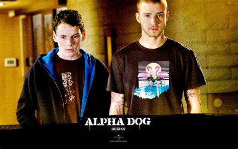 Alpha Dog Alpha Dog Wallpaper 27276433 Fanpop