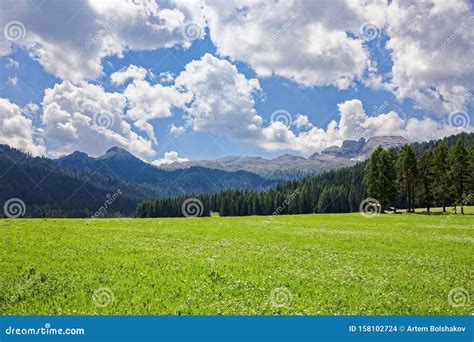 Beautiful View Of A Flowering Alpine Meadow In The Italian Dolomites