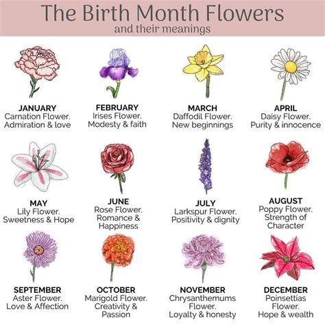 The Birth Month Flowers And Their Meanings In English With An Image Of