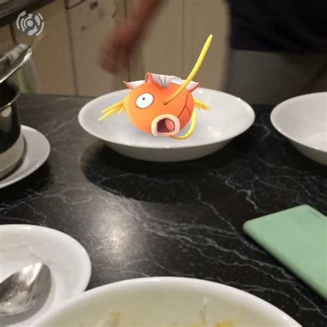 Magikarp Appears In Undignified Places All About Japan