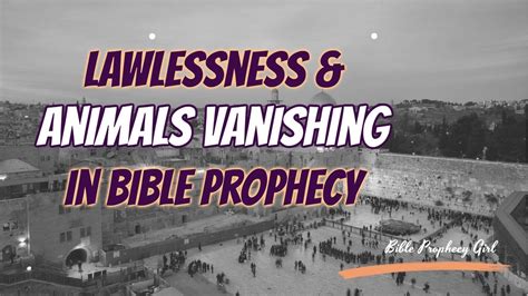 Therefore, the mystery is one of lawlessness — acting without law or restraint. Lawlessness & Animals Vanishing in Bible Prophecy - YouTube