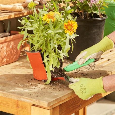 24 genius gardening hacks you ll be glad you know gardening tips easy garden lawn and garden