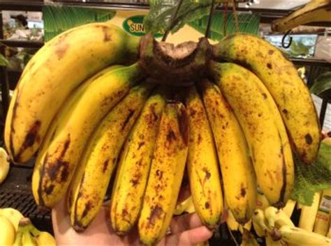 Gambar pisang yang sudah dikupas. Mengenali Berbagai Jenis Pisang yang Pas dan 10 Resep ...