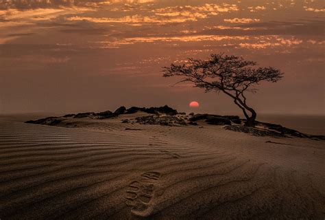 Desert Sunset By Abo Nasser Alzahrani Saudi Arabia 5 Saudi Arabia