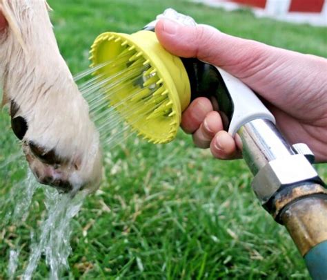 Wondurdog Quality Outdoor Dog Wash Garden Hose Nozzle W Water Pressure