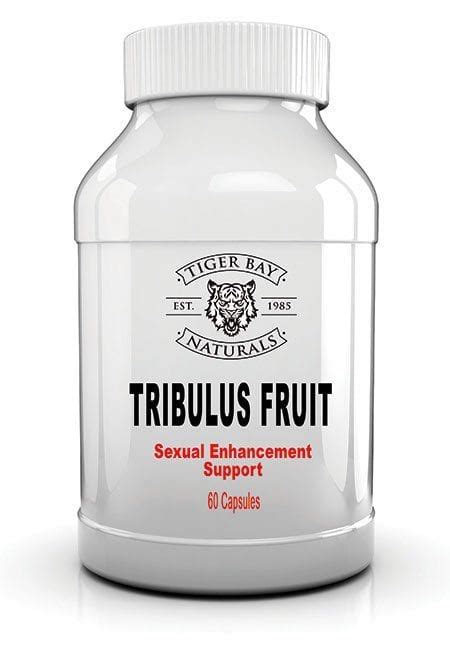 Libido Increasing Tribulus Fruit A Choice For Life Nutrition Counselors
