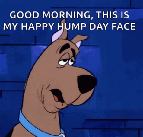 Scooby Doo Showing Sleepy Happy Hump Day Face