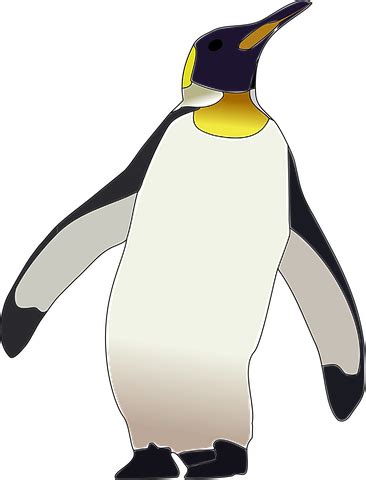 Emperor Penguin, Penguin, Bird | Penguin bird, Emperor penguin, Penguins