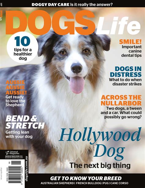Get Your Paws On Our Latest Issue Dogslife Dog Breeds Magazine