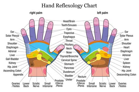 Hand Pressure Points Chart And Uses Pso Rite™
