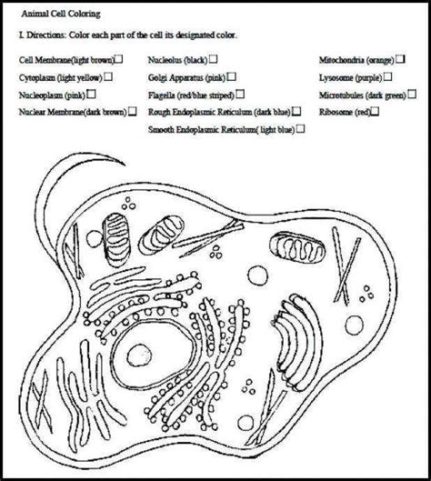 Print as many as you need and keep practicing until you know all the parts by heart. Plant Cell Diagram Worksheet | Homeschooldressage.com