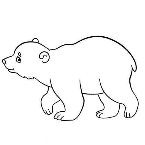 Baby Polar Bear Coloring Pages Coloring Pages