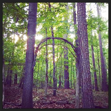 Forest Arch Ready To Be Decorated Garden Arch Arch Forest