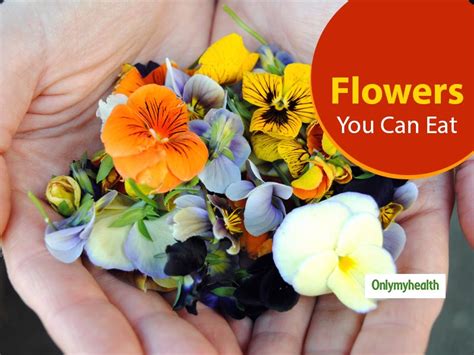 5 Edible Flowers And Their Incredible Health Benefits Onlymyhealth