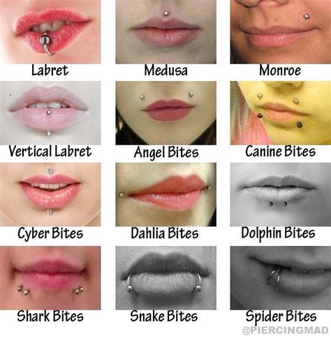 Many Different Types Of Lips With Piercings On Each Lip And The Names