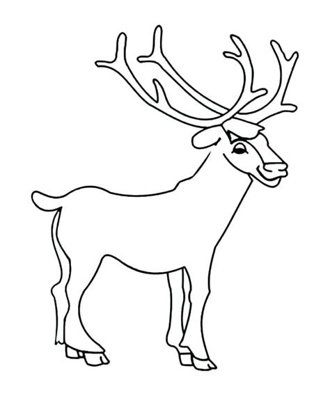 Cute Deer Coloring Pages at GetColorings.com | Free printable colorings