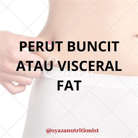 Bahaya Visceral Fat Dan Cara Mengatasinya