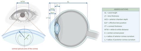 Moran Core Essentials Of Biometry Part 1 What Ocular Parameters