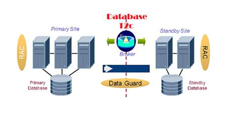 Rac To Rac Data Guard Configuration Step By Step Oracle Database 12c