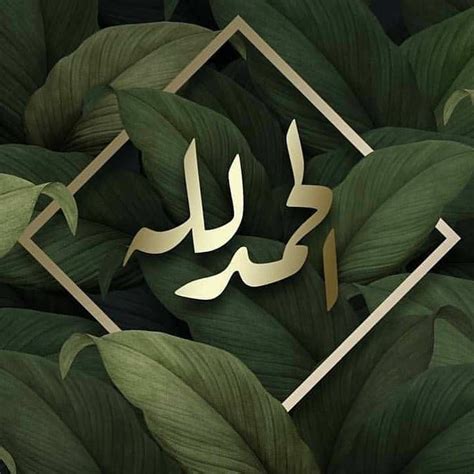 Use custom templates to tell the right story for your business. Pin by Shourouk Alshames on Jumma mubarak | Quran ...