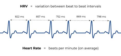 Heart Rate Variability Does It Matter Tres Care