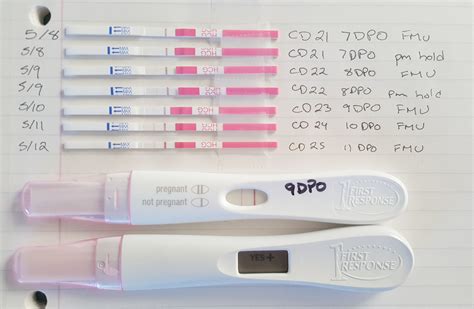 Dpo Pregnancy Test Chart