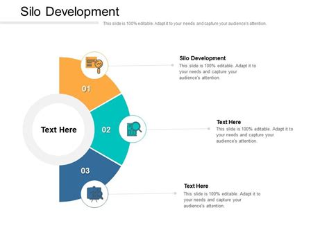 Silo Development Ppt Powerpoint Presentation Infographics Introduction