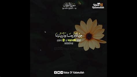 Surah Al Furqan Verse 74 Bangla Subtitle Holy Quran Recitation