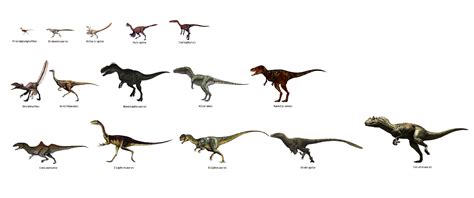 Size Comparison Of Dinosaurs Carnivorous Theropods — Steemit