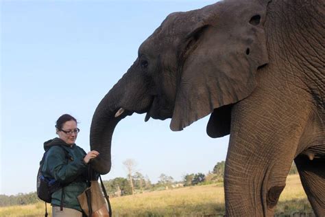 One Month Volunteering With Elephants By Darina Brejtrova Oyster