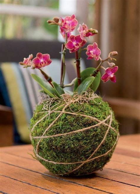 A Moss Covered Ball With Pink Flowers In It