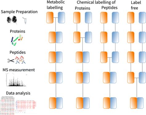 Overview On Different Mass Spectrometry Based Protein Quantification
