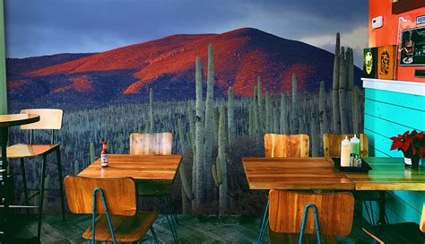 Great prices, excellent customer service. Mexican Desert Wall Mural Wallpaper