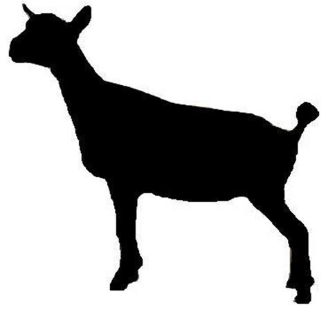 Download High Quality Goat Clipart Nigerian Dwarf Transparent Png