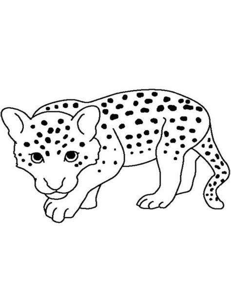 Free & Easy To Print Cheetah Coloring Pages - Tulamama