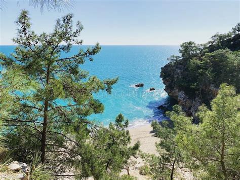 View From The Pine Forest Located On The Beach Blue Clear Water Stock
