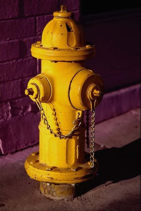 So tam and i have finally caved in the fight to make our lives into a sitcom. Beckerman Blog: Caillianne- Yellow Fire Hydrant ...