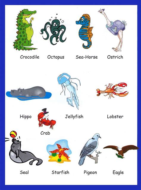 Opposites words by picture for kids. Animals Vocabulary For Kids
