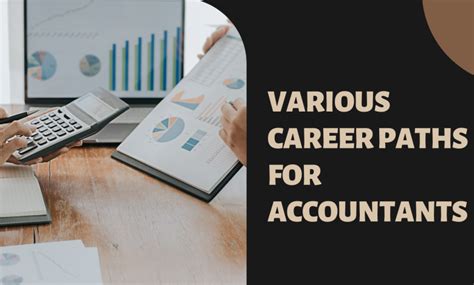 Various Career Paths For Accountants Business Hear