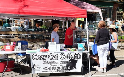 On the street of village pointe drive and street number is 62. Our Story - Cozy Cat Cottage Adoption Center