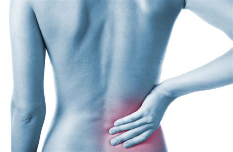 The skin and muscles of the back are primarily supplied with blood by the paired posterior branches of the intercostal arteries. Lower Back Pain Treatments: Bronx, Brooklyn, New York