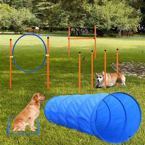 XiaZ Dog Agility Equipments, Obstacle Courses Training Starter Kit, Pet