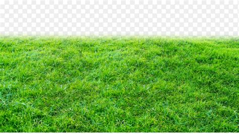 Details 100 Grass Green Background Abzlocalmx