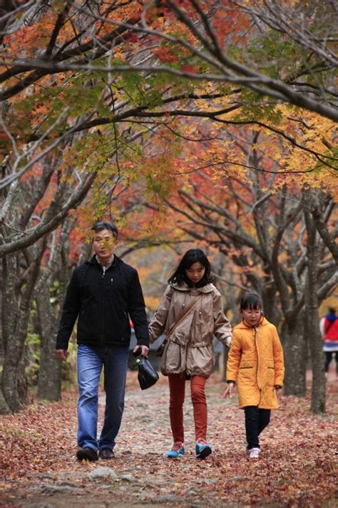 Seoul national university pulau nami. Kala Musim Gugur Menyapa Korea oleh Ony Jamhari ...