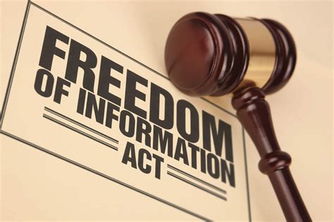 Nigerias Freedom Of Information Act Clocks 10 Years Mra Demands Compliance Daily Post Nigeria