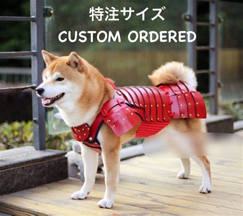 Japanese Company Creates Samurai Cat Armour For Your Cat And Dog