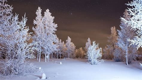 Download Wallpapers 1366x768 Winter Forest Snow Laptop