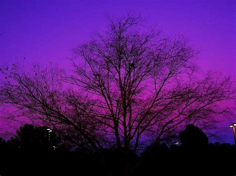 Purple Skies Purple Sky Beautiful Sky Sunset Pictures