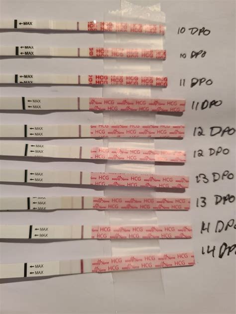 11 14 Dpo Progression On Easyhome Worried About Chemical Clear Blue
