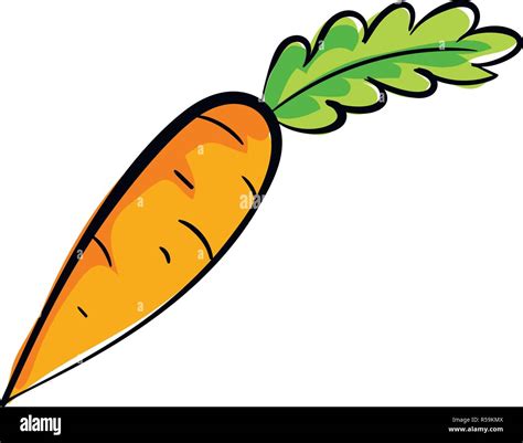 Carrot Icon Cartoon Of Carrot Vector Icon For Web Design Isolated On